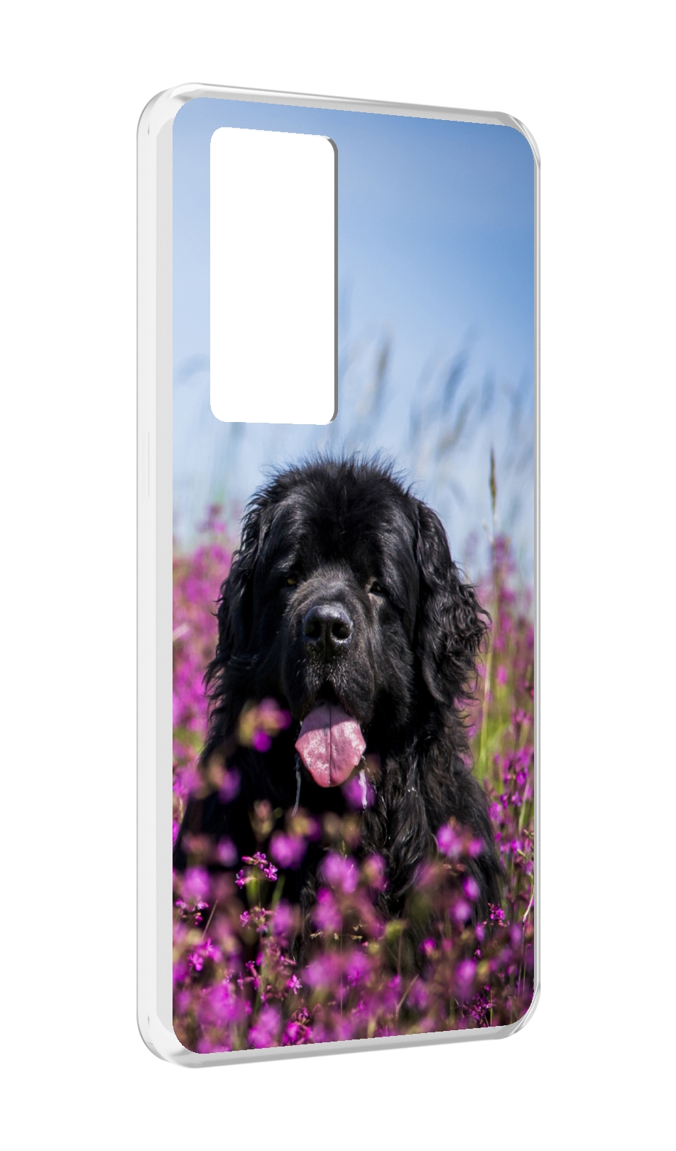 

Чехол MyPads ньюфаундлед для Realme GT Master Explorer Edition, Прозрачный, Tocco