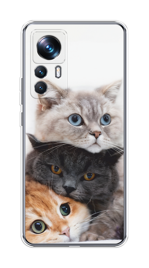 

Чехол на Xiaomi 12T Pro "Пушистые мордашки", Серый;черный;оранжевый, 315750-1