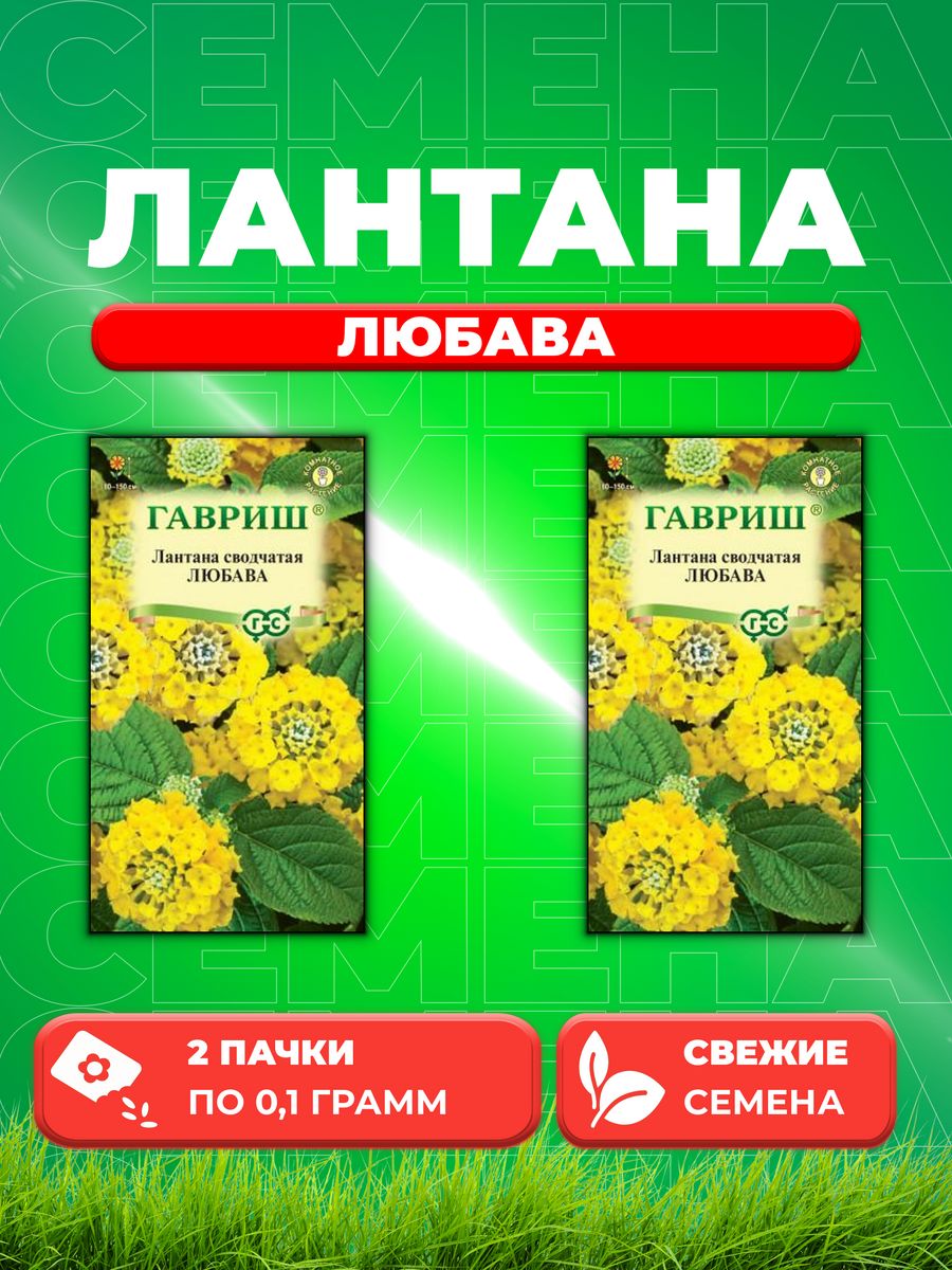 

Семена Лантана сводчатая Любава* 0,1 г 2уп