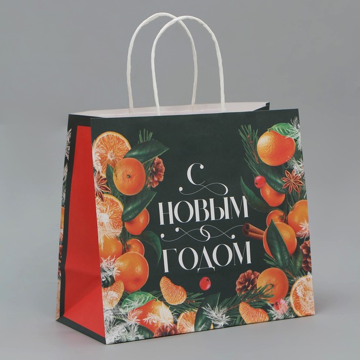 

Пакет подарочный крафтовый «Новогодняя суета», 25 х 22 х 12 см, Зеленый