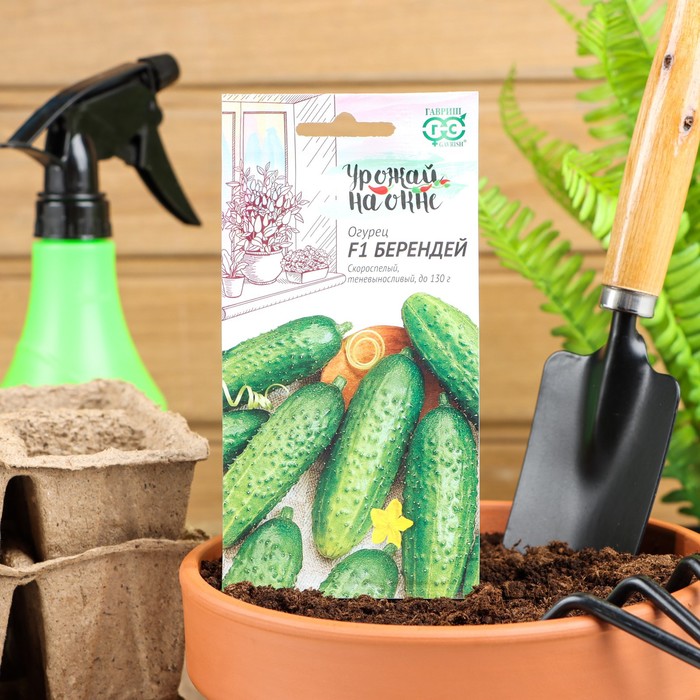 

Семена огурец Берендей F1 Гавриш 1768422-2p 2 уп.