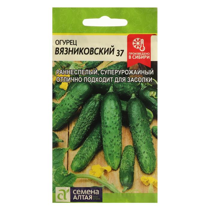 

Семена огурец Вязниковский 37 Семена Алтая 5464177-11p 2 уп.