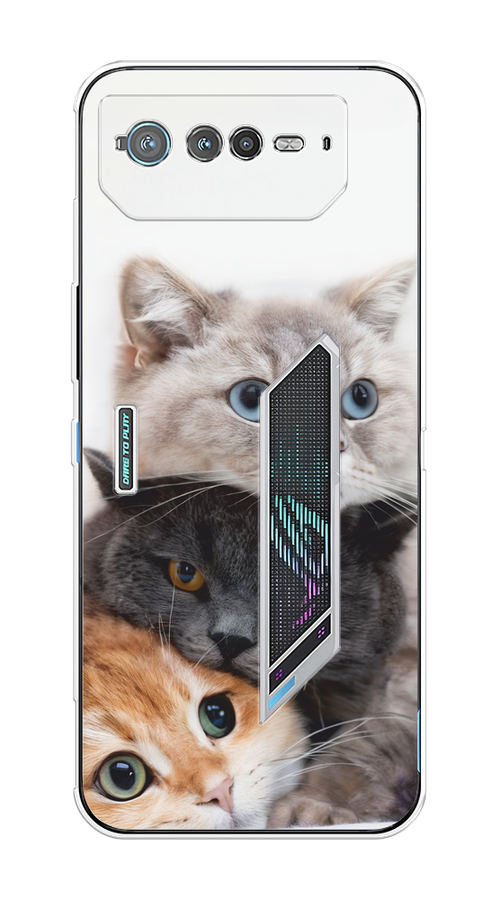 

Чехол на Asus ROG Phone 6 "Пушистые мордашки", Серый;черный;оранжевый, 44650-1