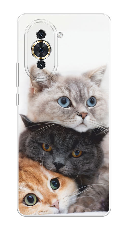 

Чехол на Huawei Nova 10 "Пушистые мордашки", Серый;черный;оранжевый, 6108950-1