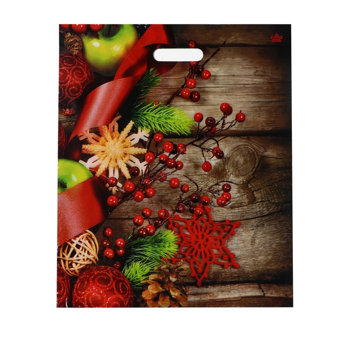 

Пакет Зимняя калина , полиэтиленовый с вырубной ручкой, 45 х 38 см, 60 мкм 50 шт