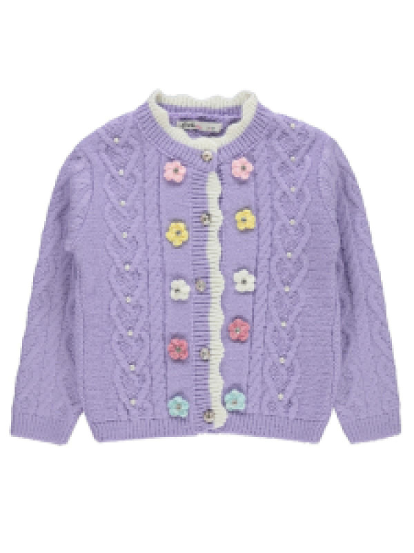 

Кофта Civil 39U53l620K21, 3-4 лет, лиловый (доставка из-за рубежа)