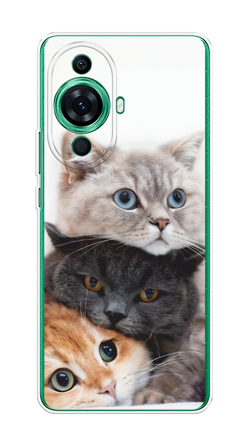

Чехол на Huawei Nova 11 Pro "Пушистые мордашки", Серый;черный;оранжевый, 6121350-1