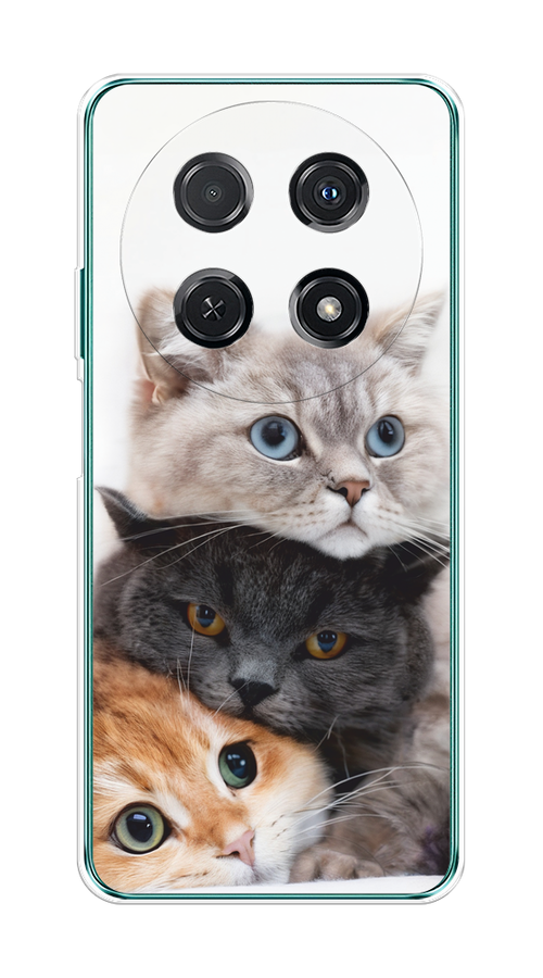 

Чехол на Huawei Nova 12i "Пушистые мордашки", Серый;черный;оранжевый, 6123950-1