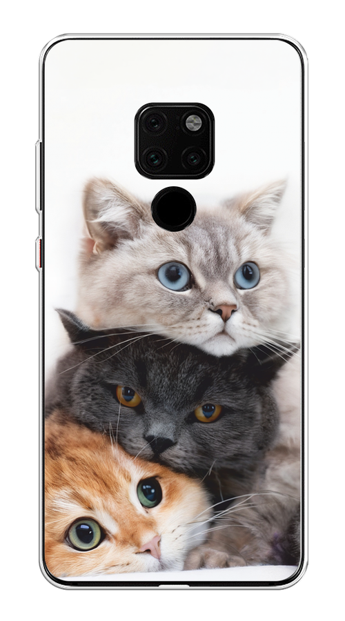 

Чехол на Huawei Mate 20 "Пушистые мордашки", Серый;черный;оранжевый, 66850-1