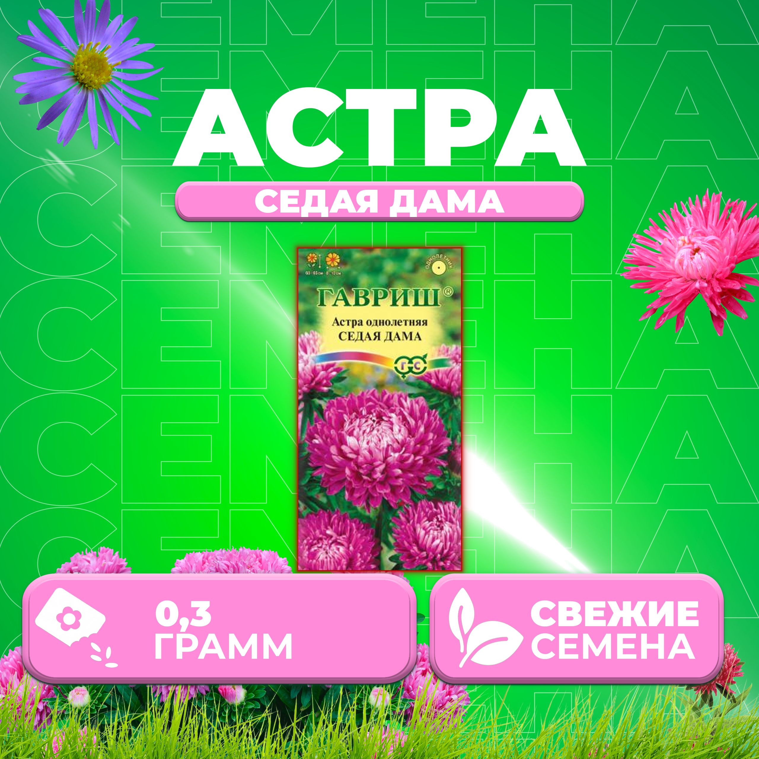 

Семена Астра Седая дама, пионовидная, 0,3г, Гавриш, Цветочная коллекция 1 уп