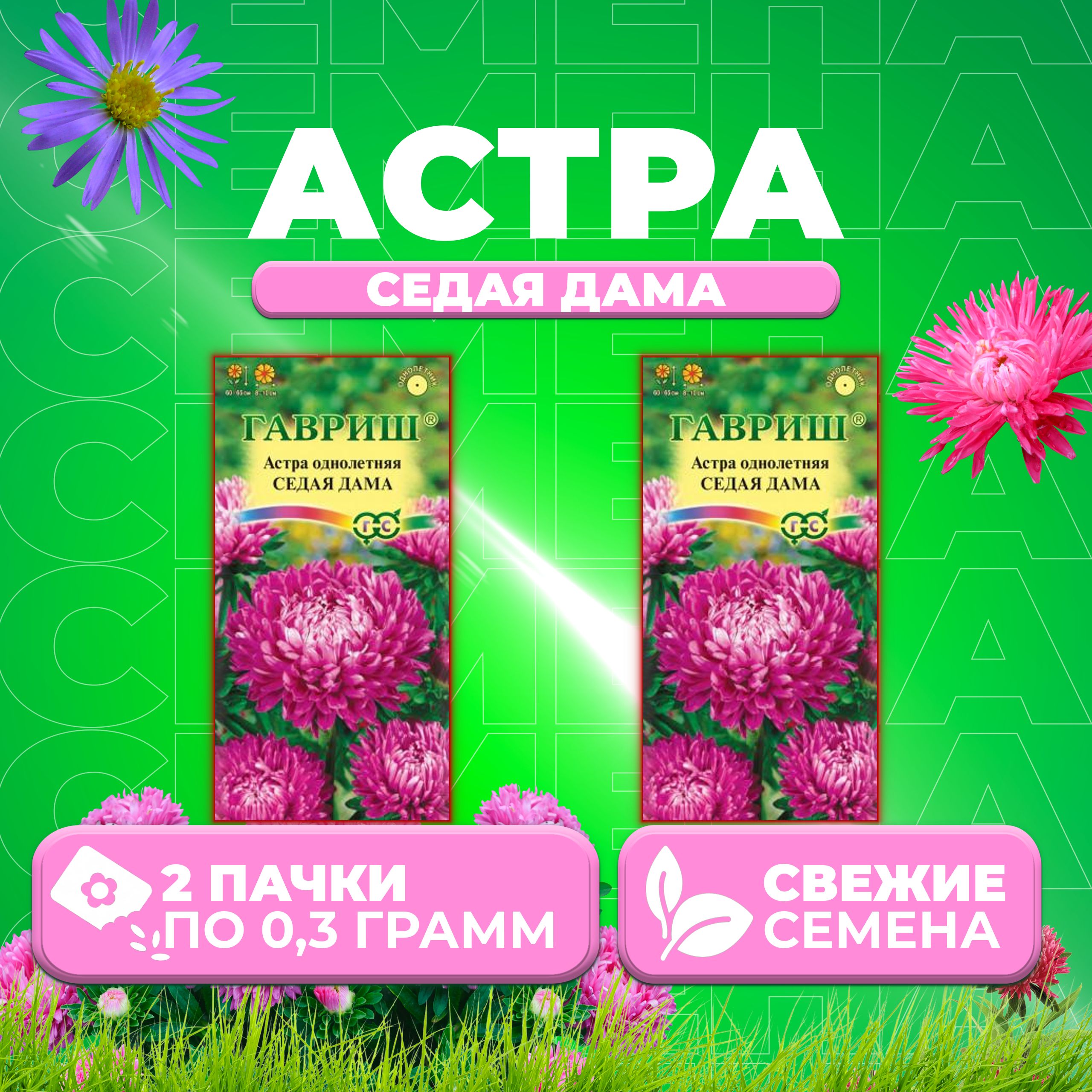 

Семена Астра Седая дама, пионовидная, 0,3г, Гавриш, Цветочная коллекция 2 уп