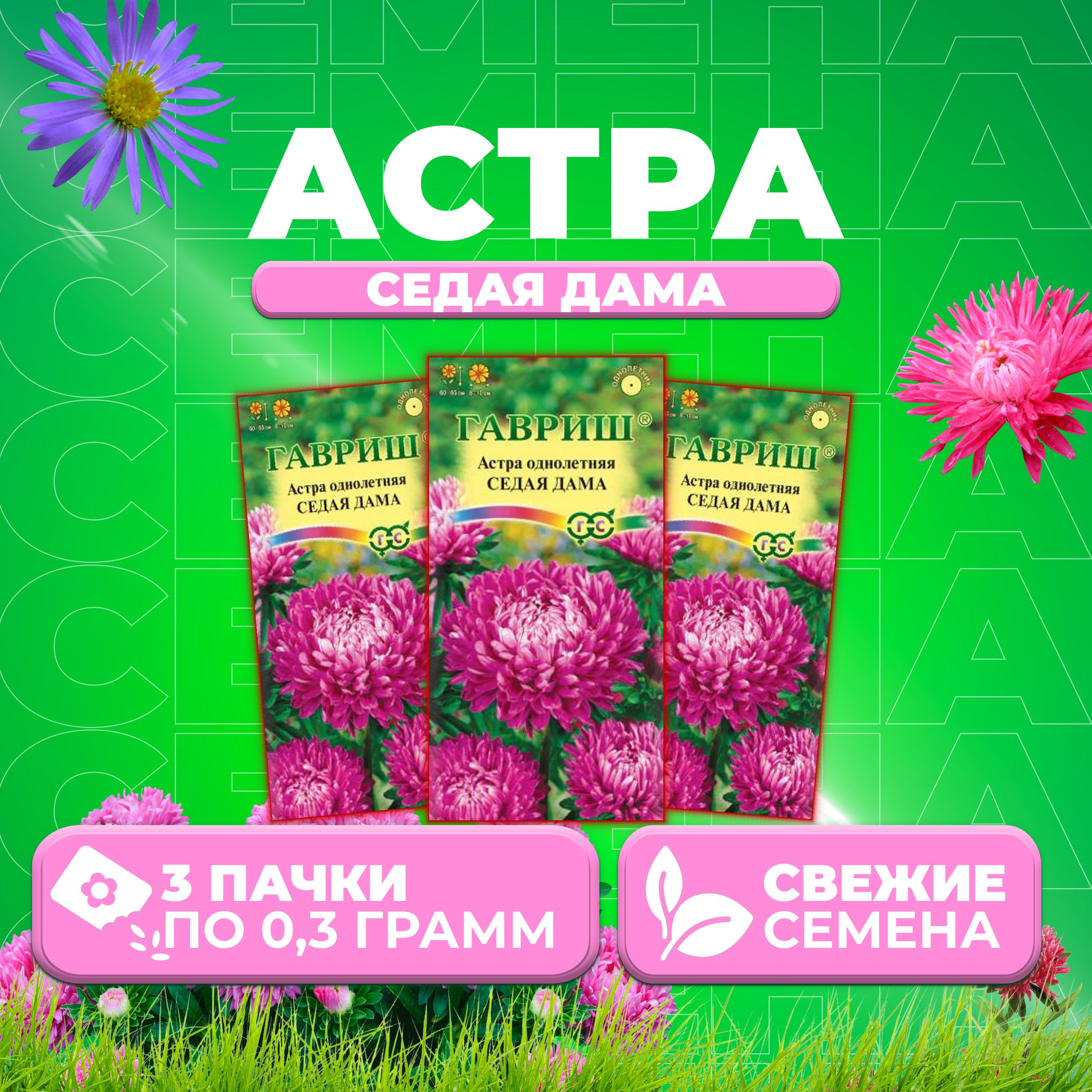 

Семена Астра Седая дама, пионовидная, 0,3г, Гавриш, Цветочная коллекция 3 уп