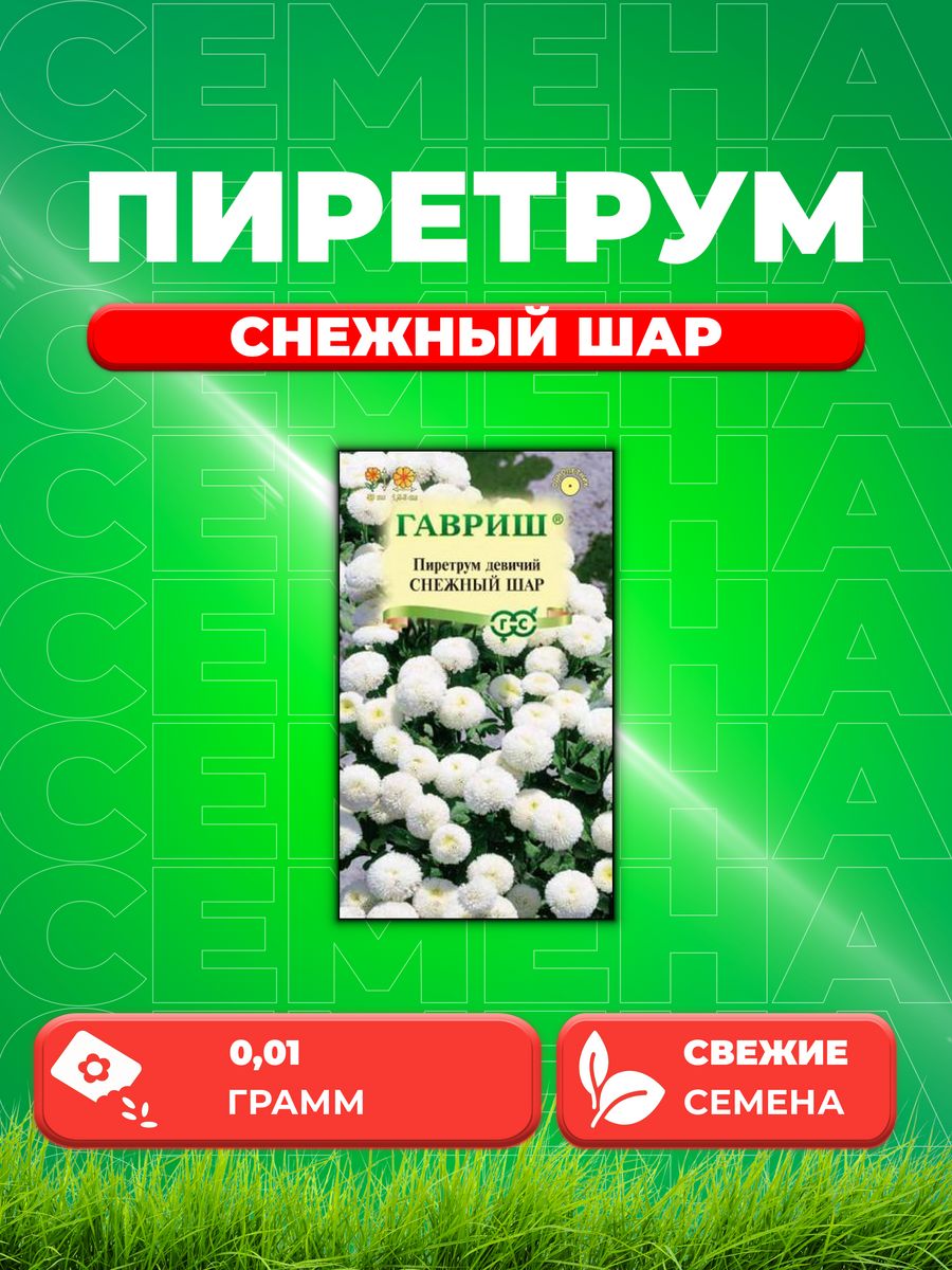 

Семена Пиретрум девичий Снежный шар, 0,01г