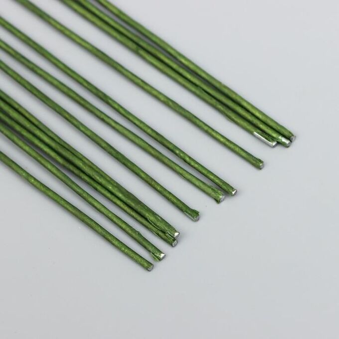 Blumentag fiorico в оплетке, 0,95 мм, 5х20 шт, 40 см, №1 зеленый