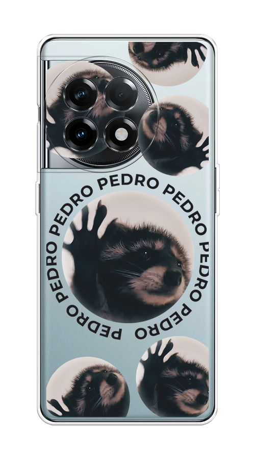 

Чехол на OnePlus 11R/Ace 2 "Pedro енот", Черный;бежевый;прозрачный, 154150-1