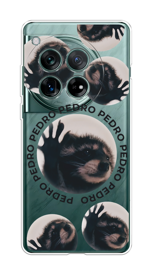 

Чехол на OnePlus 12 "Pedro енот", Черный;бежевый;прозрачный, 154450-1