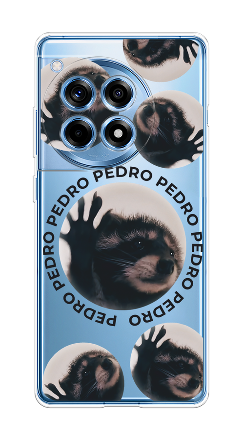 

Чехол на OnePlus 12R "Pedro енот", Черный;бежевый;прозрачный, 154650-1