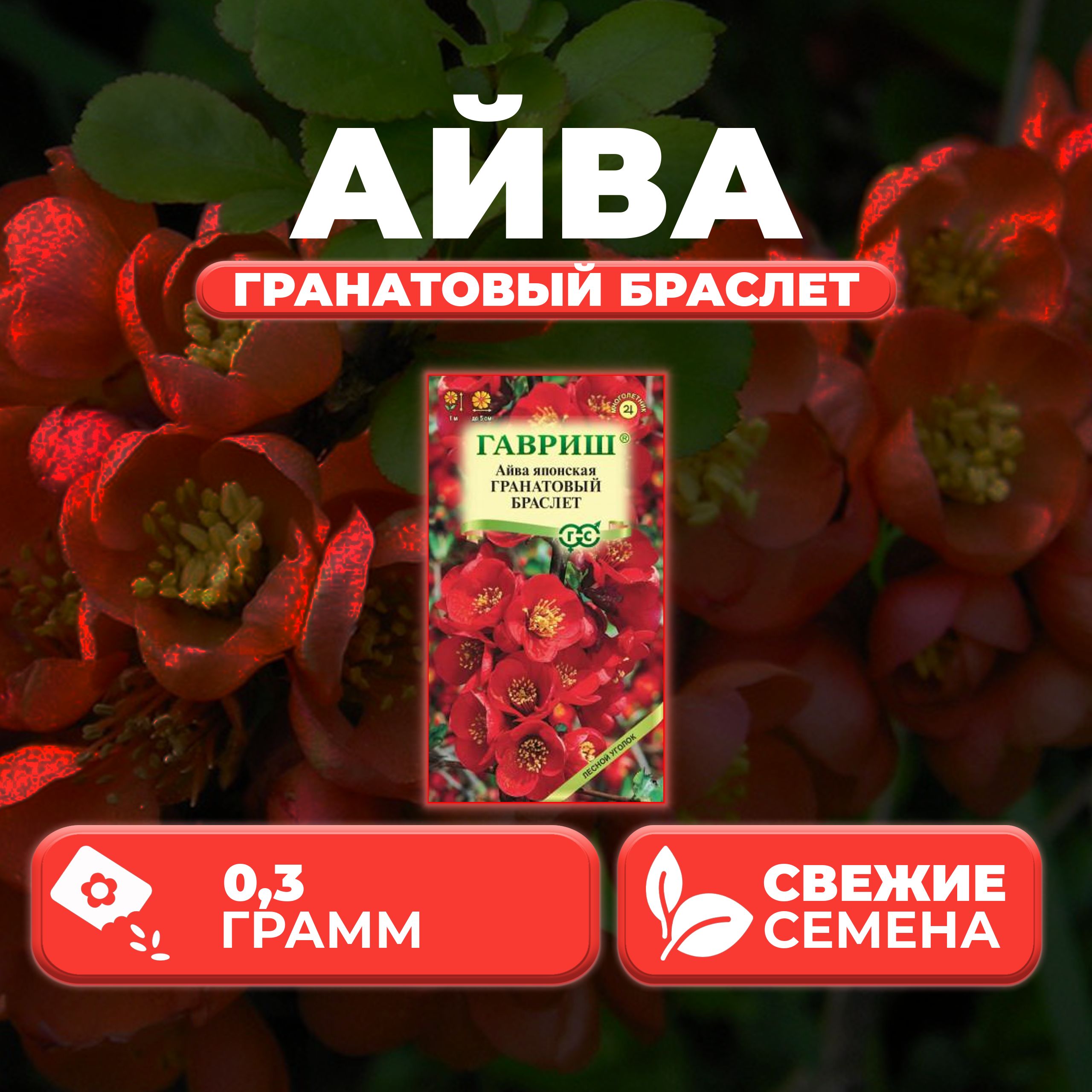 

Семена Айва японская Гранатовый браслет, 0,3г, Гавриш, Лесной уголок 1 уп