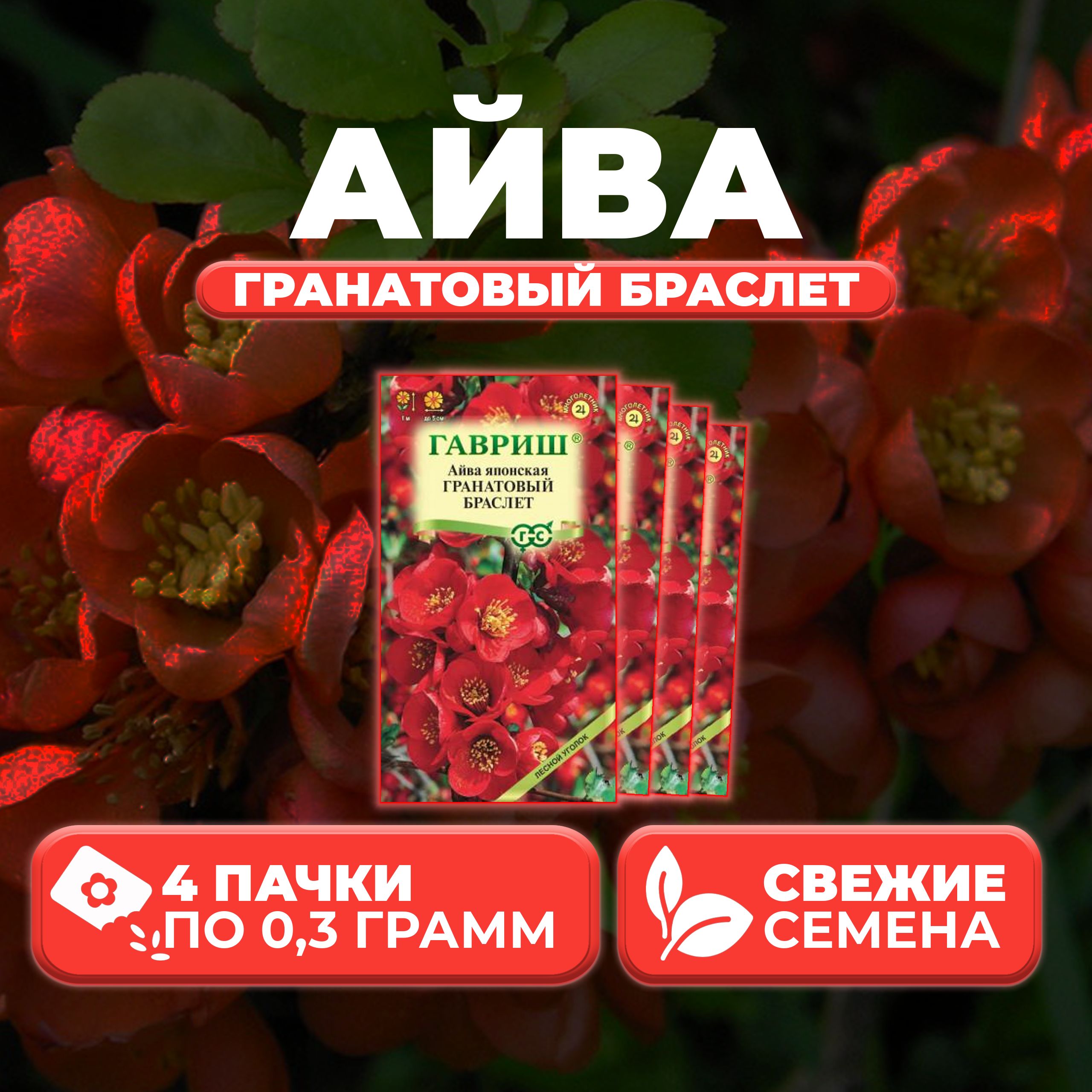 

Семена Айва японская Гранатовый браслет, 0,3г, Гавриш, Лесной уголок 4 уп