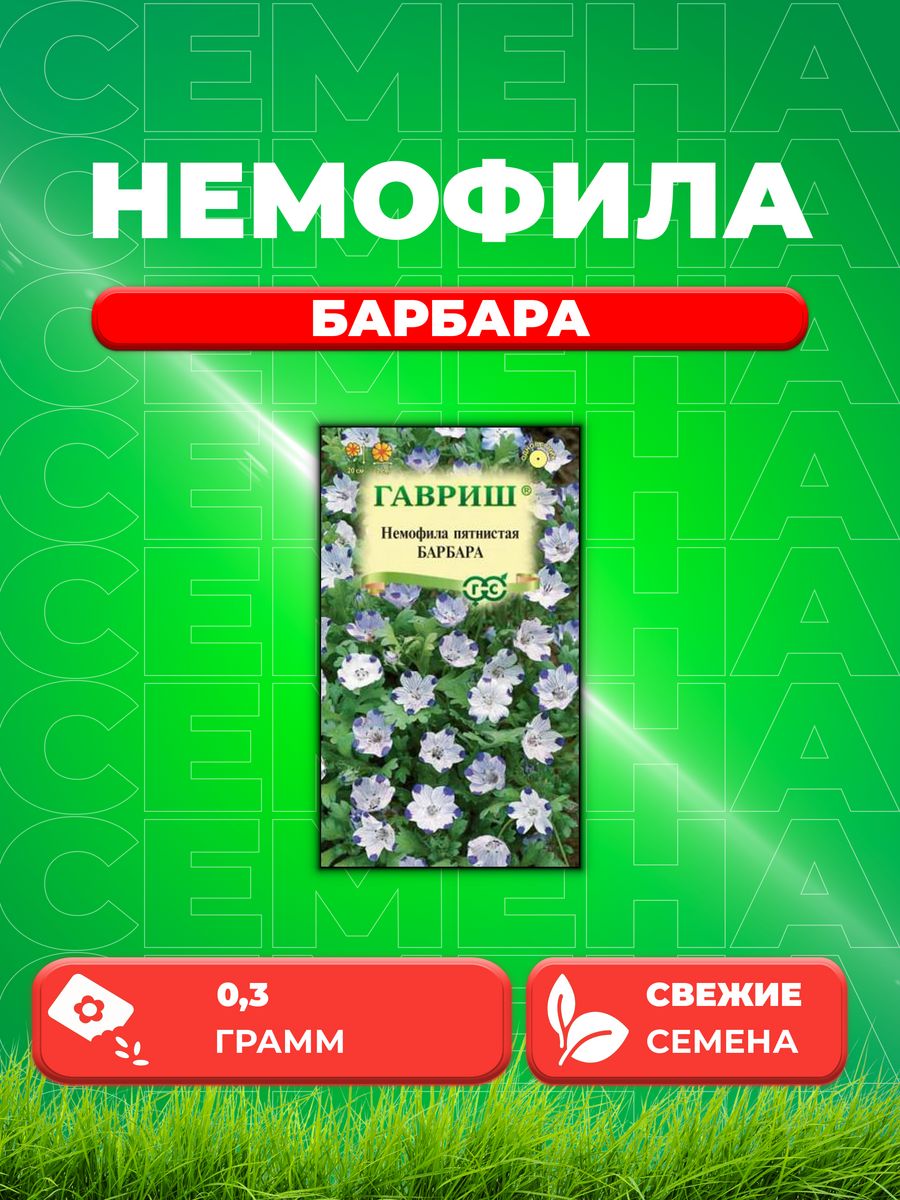 

Семена Немофила Барбара, 0,3г, Гавриш,