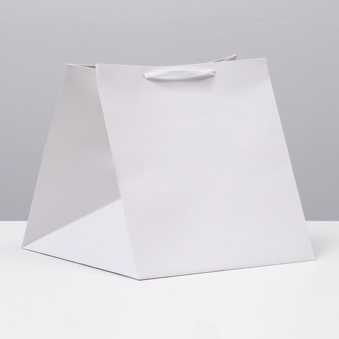 

Пакет под торт 30х30х30cm Белый (10 шт)
