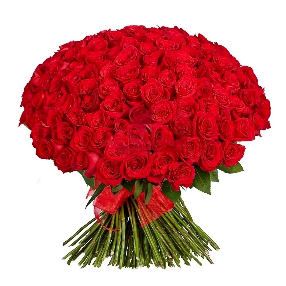 

Элитные искусственные цветы, 151 роза, Красный, Rose
