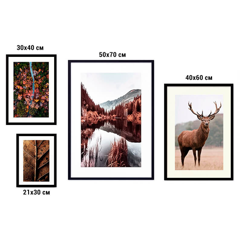 

Набор постеров Природа №196