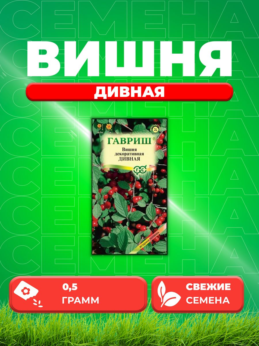 

Семена Вишня Дивная войлочная 0,5 г