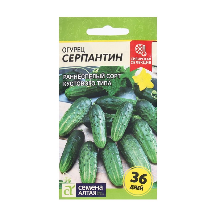 

Семена огурец Серпантин Семена Алтая 9330877-10p 3 уп.