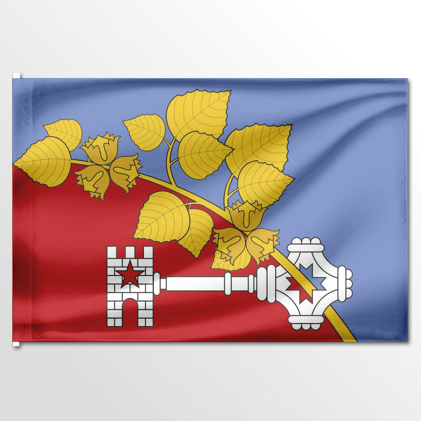 

Флаг ЦТП ФЕНИКС Виллозского сельского поселения 135x90 см, 1490-135x90