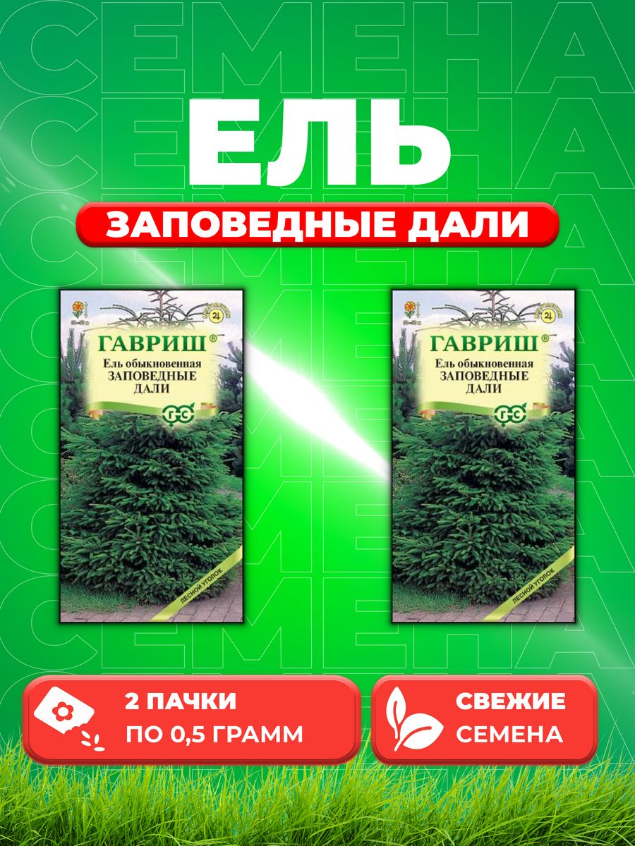 

Семена Ель обыкновенная Заповедные дали 0,5г.2уп