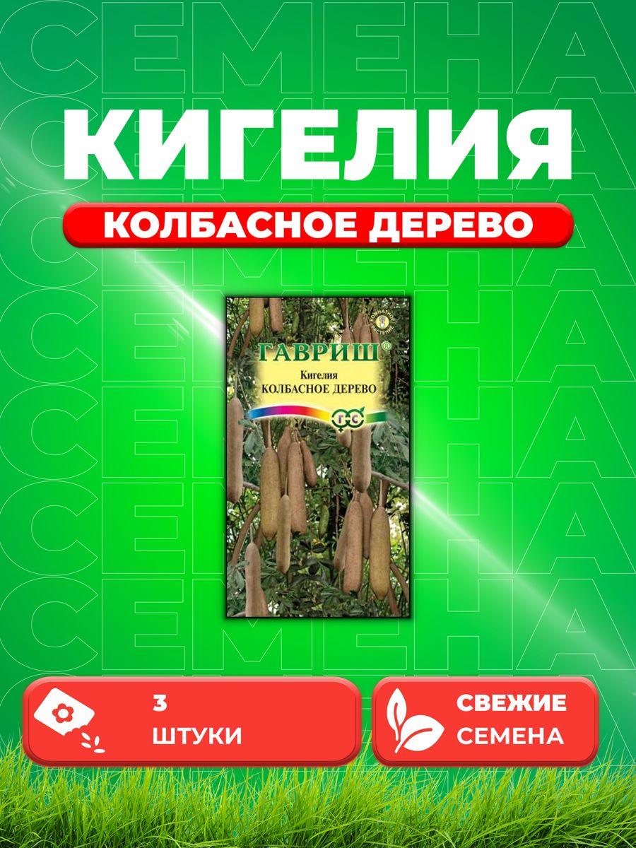 

Семена Кигелия Колбасное дерево 3 шт.