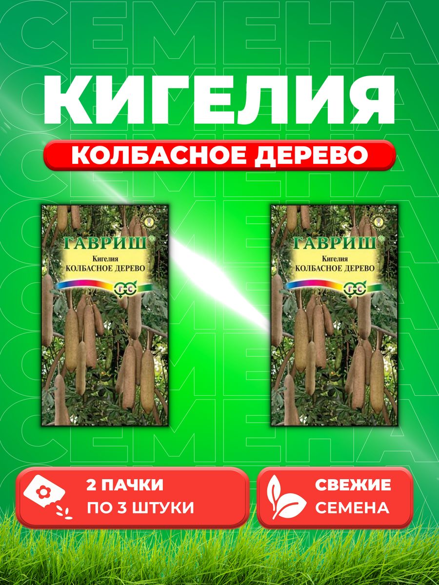 

Семена Кигелия Колбасное дерево 3 шт. 2уп