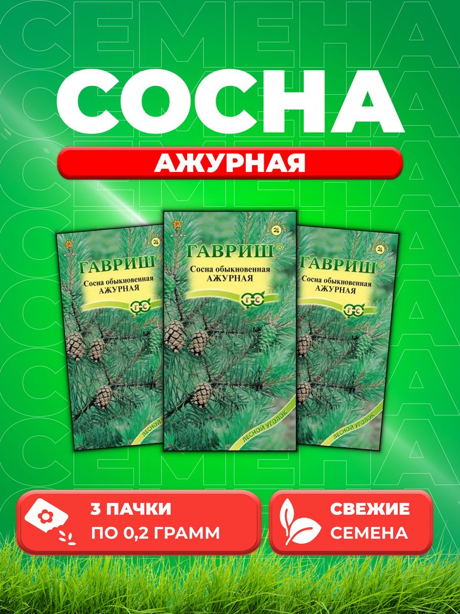 

Семена Сосна обыкновенная Ажурная 0,2 г3уп