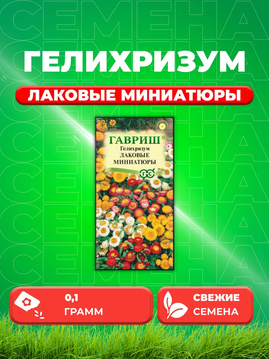 

Семена Гелихризум карлик. Лаковые миниатюры* 0,1 г