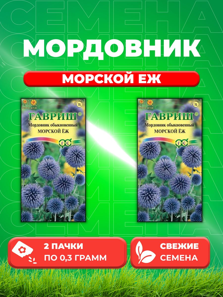 

Семена Мордовник Морской еж, 0,3г, Гавриш, 2уп