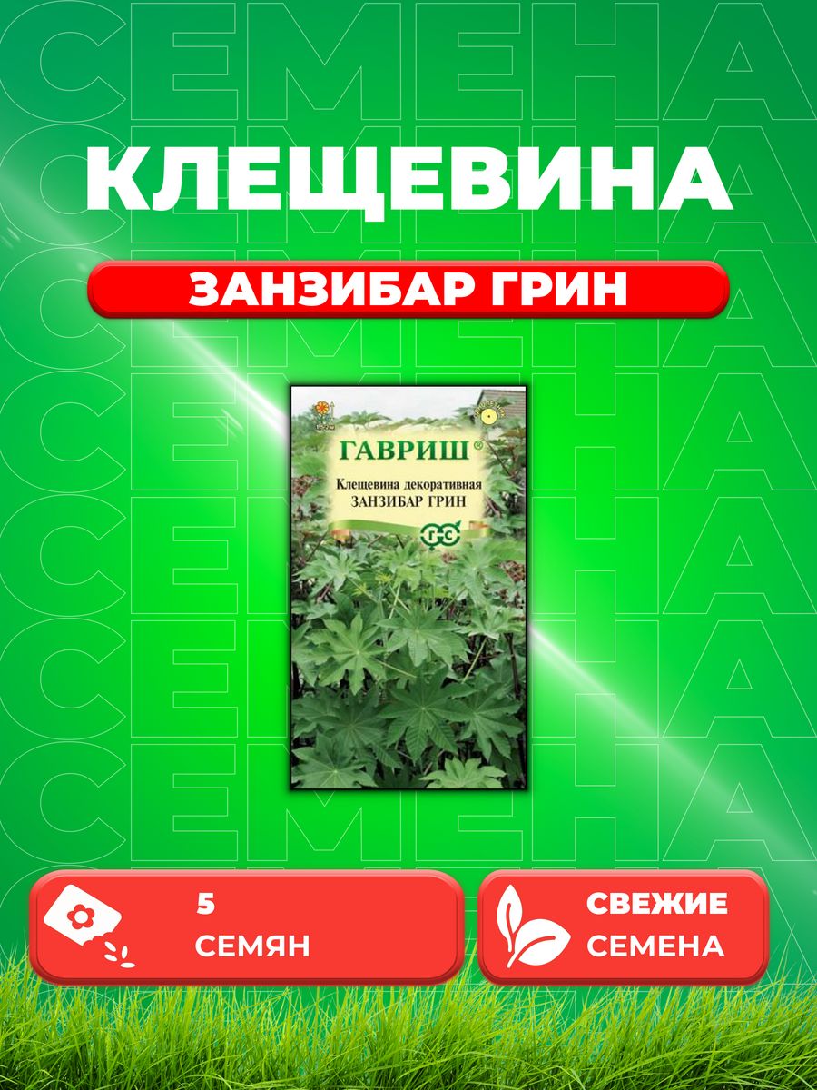 

Семена Клещевина Занзибар Грин 5 шт. DH