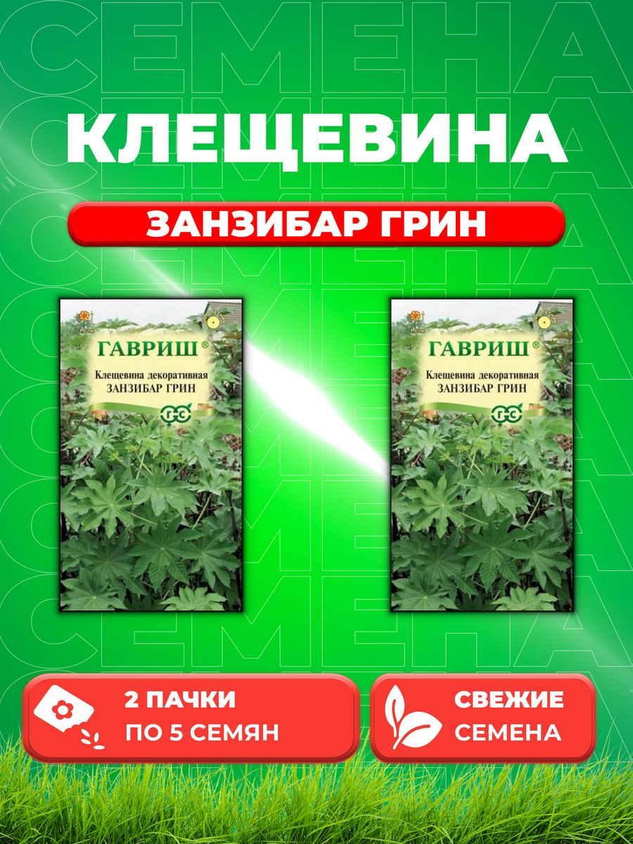 

Семена Клещевина Занзибар Грин 5 шт. DH 2уп