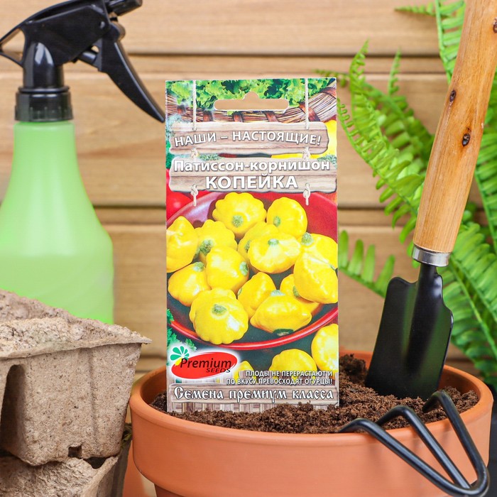 

Семена патиссон Копейка Premium seeds N5301 2 уп.
