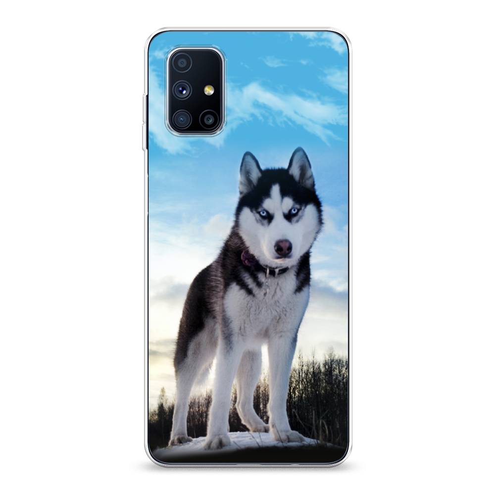 

Чехол Awog на Samsung Galaxy M51 / Самсунг M51 "Хаски 3", Разноцветный, 2101550-2