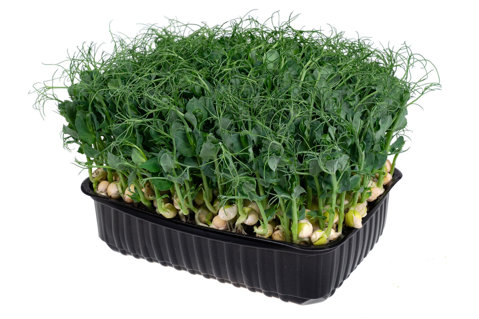 

Микрозелень Горох Агрохолдинг Московский 300 г