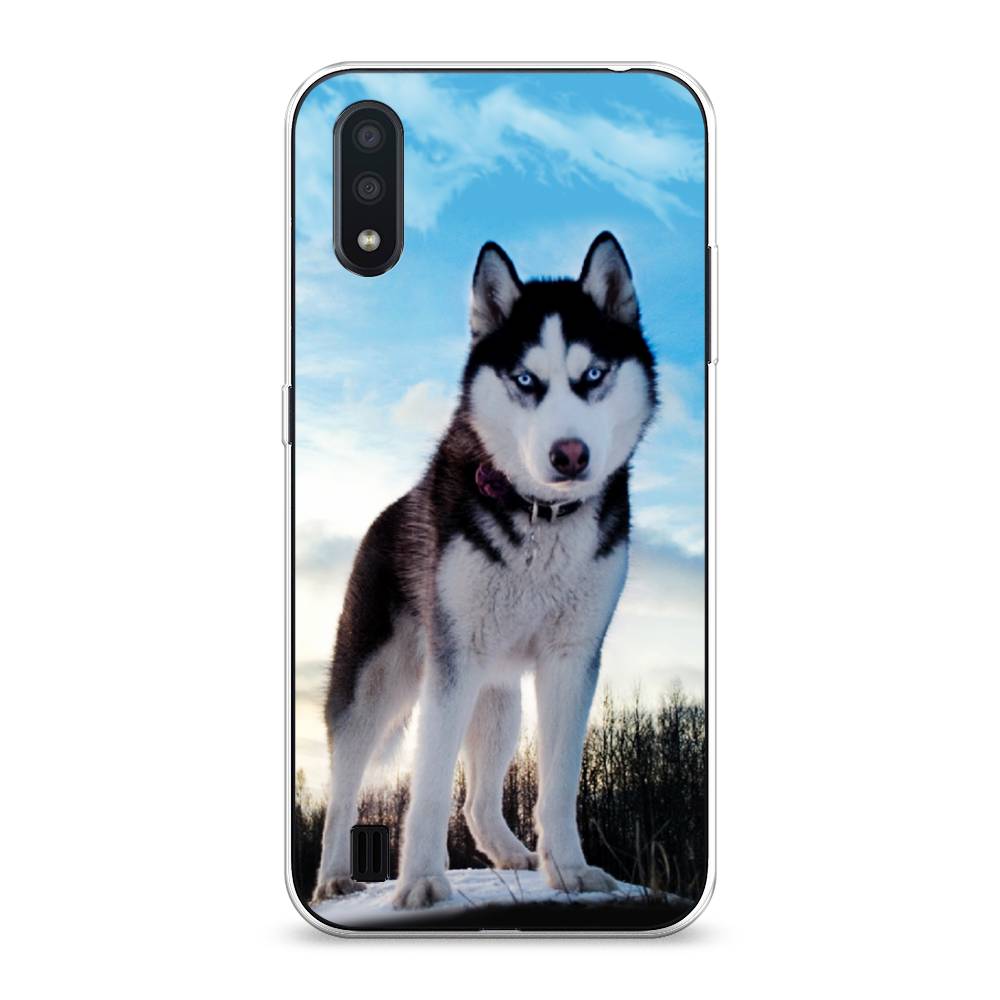 

Чехол Awog на Samsung Galaxy A01 "Хаски 3", Разноцветный, 29550-2