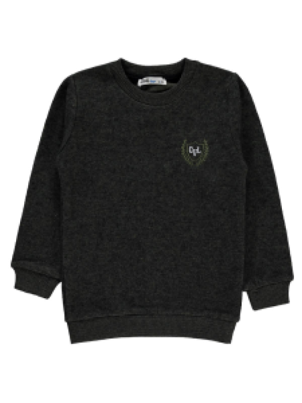 

Свитшот Civil 194073401K21-3, 5-6 лет, хаки (доставка из-за рубежа), 194073401K21-3