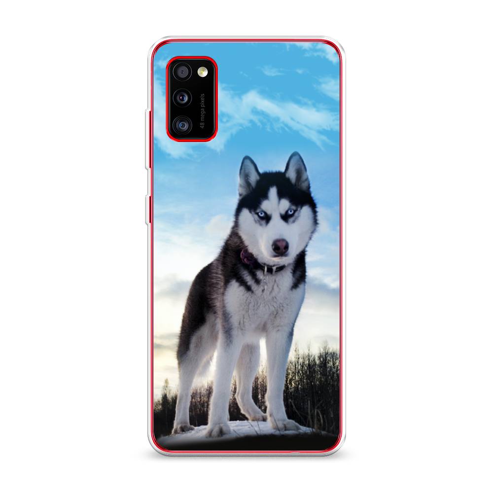 

Чехол Awog на Samsung Galaxy A41 / Самсунг A41 "Хаски 3", Разноцветный, 2100450-2