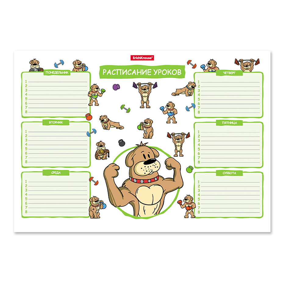 

Расписание уроков ErichKrause Busy Dogs А4, Разноцветный