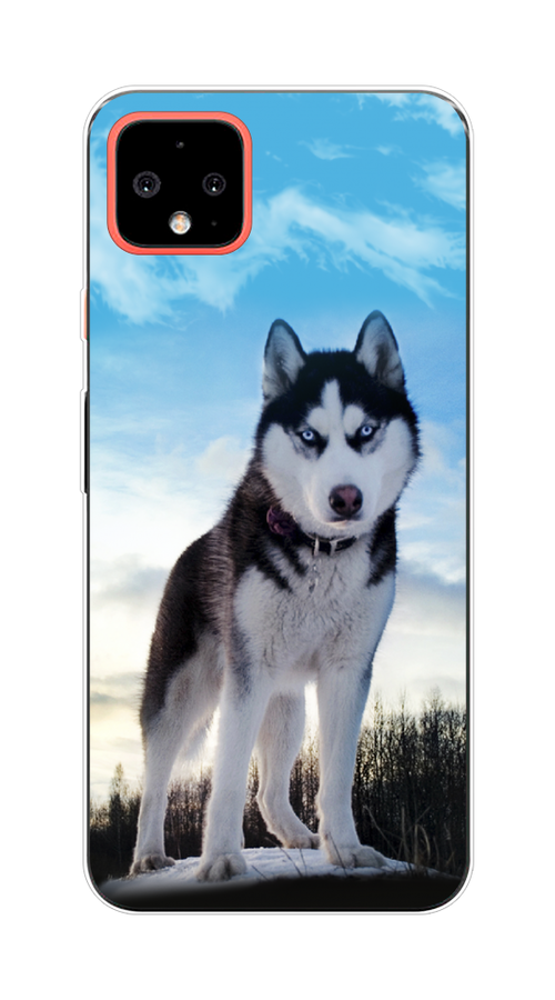 

Чехол Awog на Google Pixel 4 XL "Хаски 3", Разноцветный, 270550-2