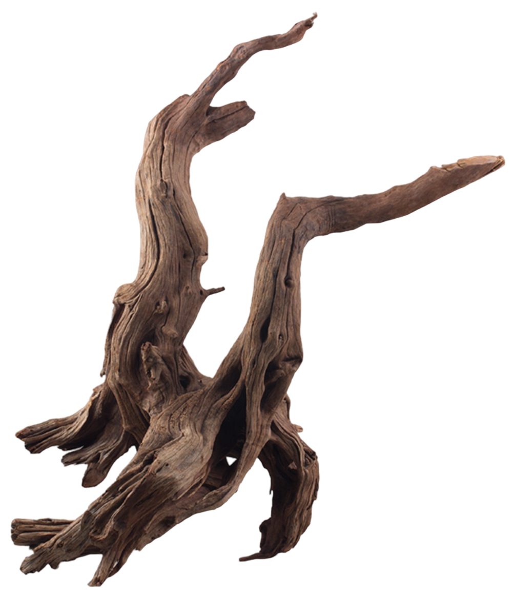 

UDeco Oak XS - Натуральная коряга "Дуб" для аквариумов и террариумов, 0,5-1,0 кг