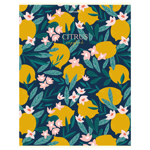 

Тетрадь BRAUBERG FRUITS, 404066