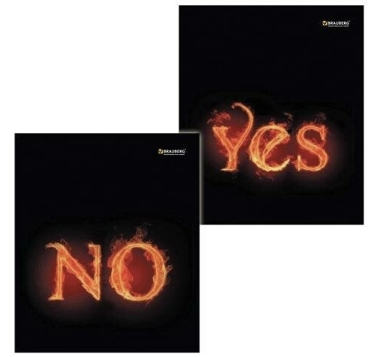 

Тетрадь 48 листов BRAUBERG ЭКО ОГОНЬ YES NO 2 шт 4018151 T0T, T0T