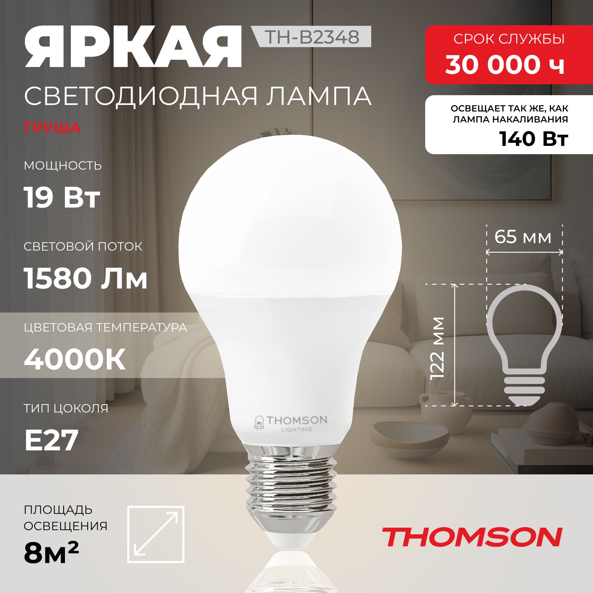 Лампочка светодиодная Thomson, TH-B2348, 19W, E27